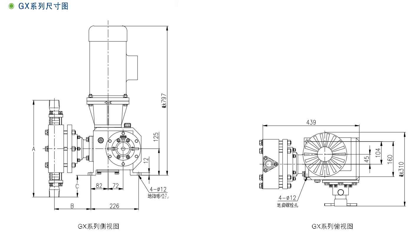 GX、2GX系列機(jī)械隔膜計(jì)量泵