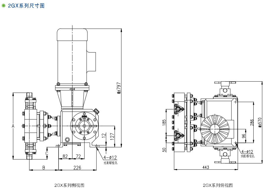 GX、2GX系列機(jī)械隔膜計(jì)量泵